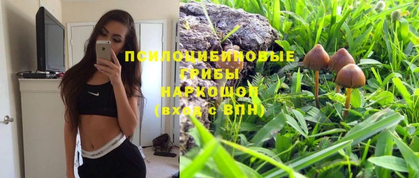 тгк Алексин