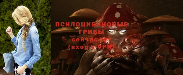 спиды Алзамай