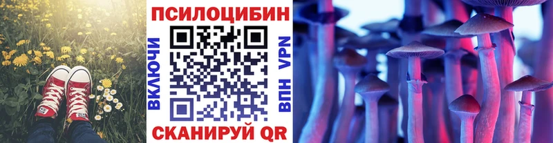 Галлюциногенные грибы ЛСД  Рошаль 